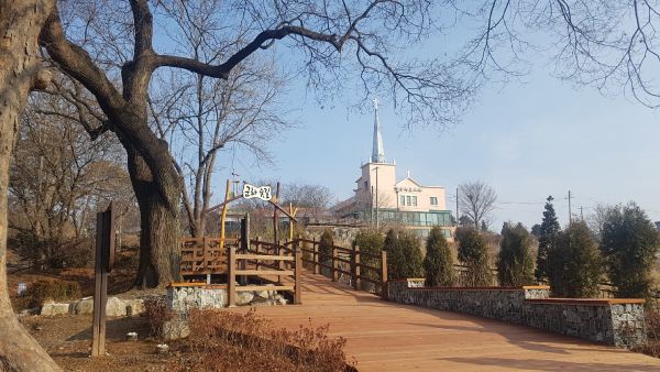 김포시, 오감만족 수국테마 군하숲길 조성