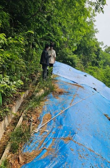 고촌읍 소재 사면을 점검 중인 시 관계자.