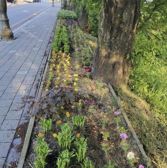 아름다운 소양천 시민정원 한국마스터가드너협회 여주지부와 함께 꽃길조성