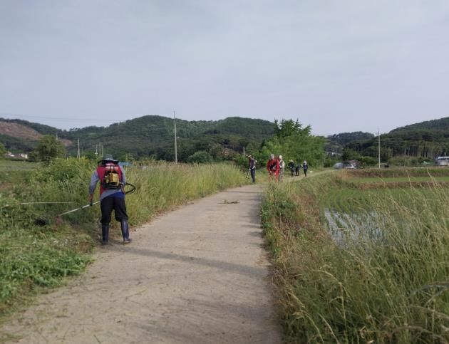 정미면 수당리 제초 작업