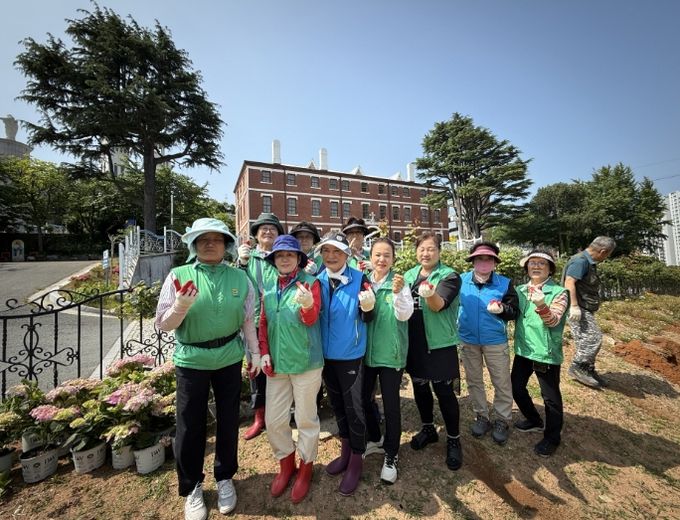 대성동, 목포·신안 통합 염원 담은 수국 꽃밭 조성