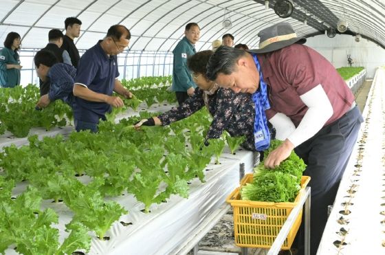 봄촌 일손돕기 본격추진(