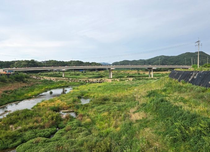 , 송호관광지 인근 도로 통제