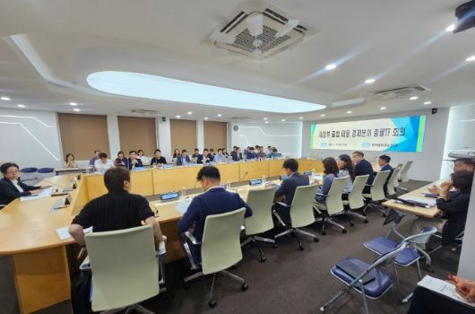 새정부 출범 대응 경제분야 총괄 전담팀(TF) 회의