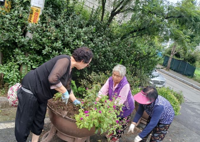 송북동, 가을꽃으로 아름다운 도심지 조성