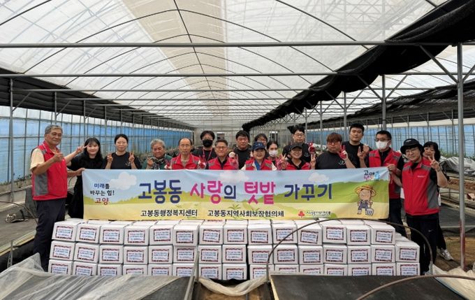 고양시 고봉동 지역사회보장협의체, 고구마 수확·나눔 행사…이웃사랑 실천