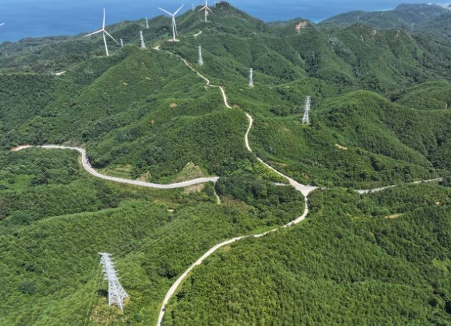 2025년 우리가 키운 우수조림지(현종산)