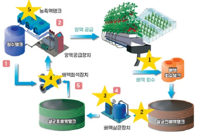 순환식 수경재배 시스템 모식도