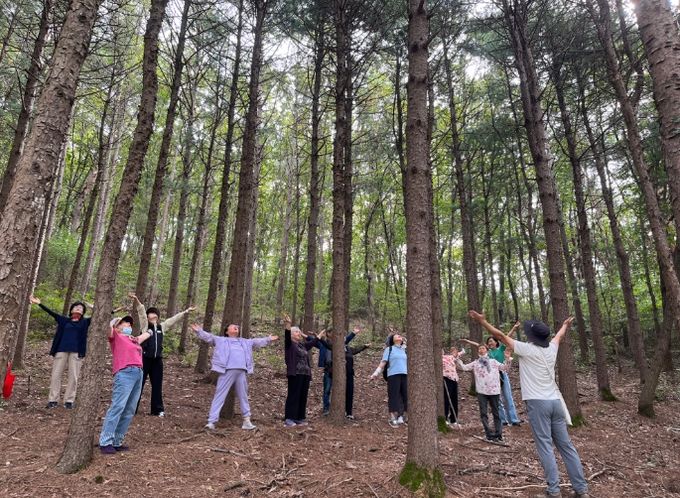 산림치유 프로그램