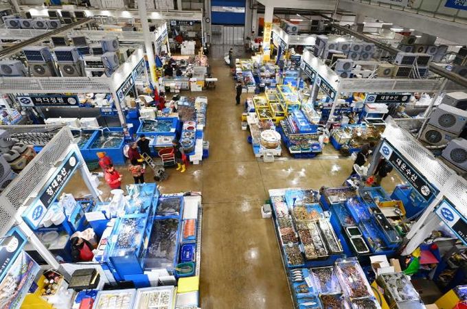 수원시농수산물도매시장 수산동 전경