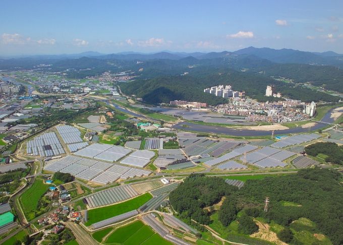 원당화훼단지 전경