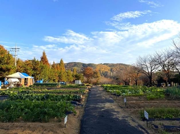 안성시, 2026년 도시농업공동체 공공텃밭 분양자 모집