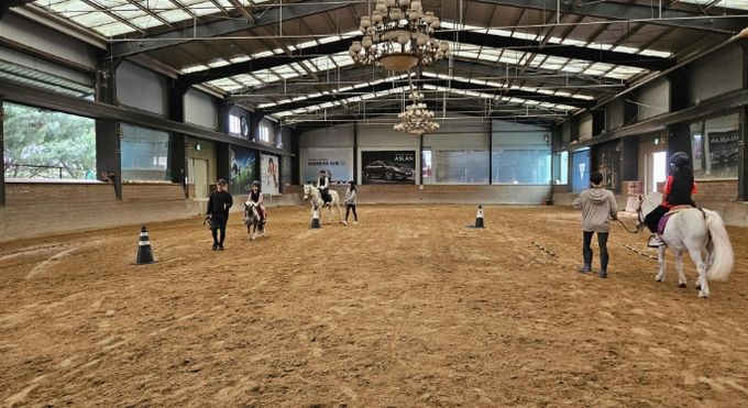 이천시, 2026년 학생승마체험 모집… 4월 7일까지 호스피아 통해 신청