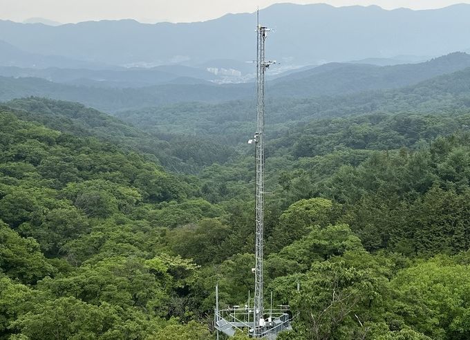 광릉 낙엽활엽수림 플럭스타워