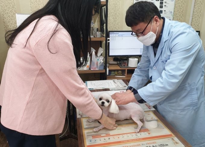 의정부시, 2026년 상반기 광견병 예방접종 지원사업 실시